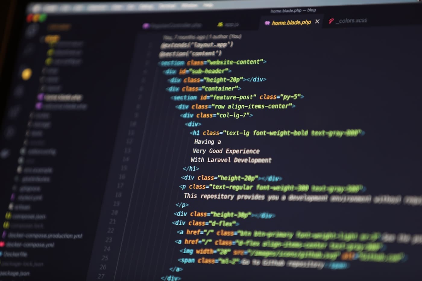 Custom WordPress Plugin Development preview